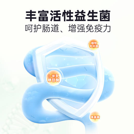 【Ramical雷米高】狗狗专用犬奶贝维生素片营养补钙软骨素狗狗易吸收 商品图4