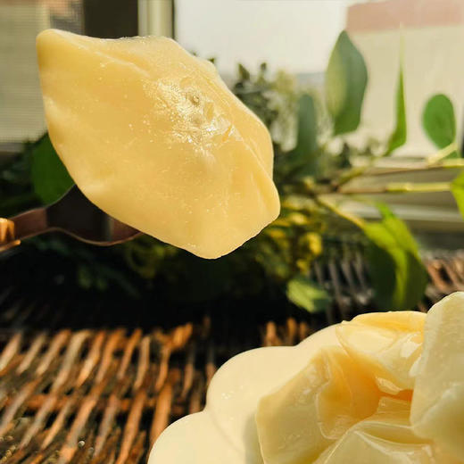 喜卓牦牛酸奶酪150g 商品图6