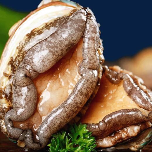 丁小宴海鲜盛宴1598型 4450g【实物/卡券】 商品图5