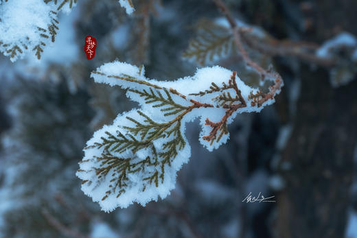 12.1/1.6【山西·河南】少林寺功夫人像、探访中国古建、”非遗”打铁花、独特城堡教堂、云丘山冰洞8天摄影团 商品图5