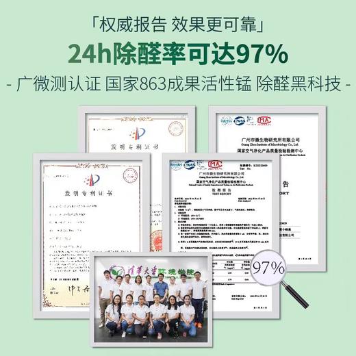 CoClean 清蜓除甲醛小蜂巢 商品图3