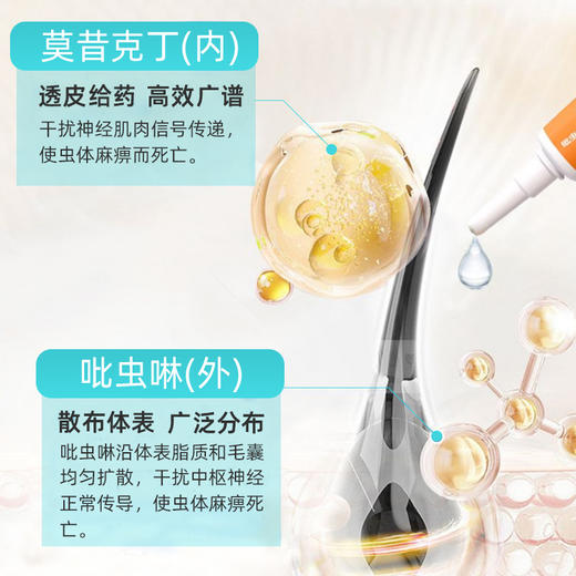 【10送2】菲内仕吡虫啉莫昔克丁滴剂3支装 体内外驱虫 安全去跳蚤耳螨  线下专供 商品图3