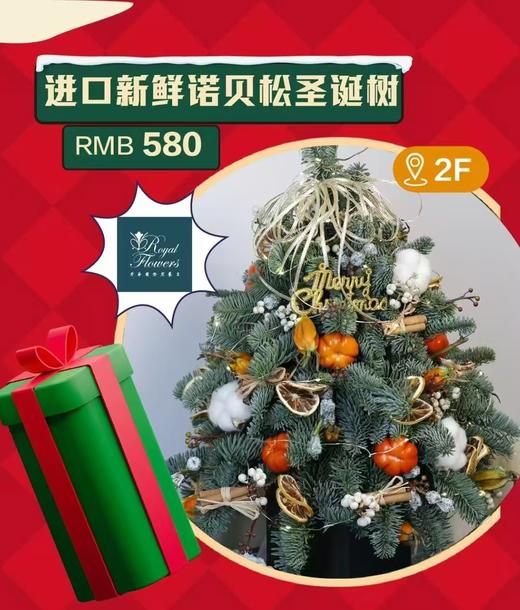 老爷花艺 圣诞树 商品图0