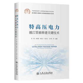 特高压电力越江管廊修建关键技术