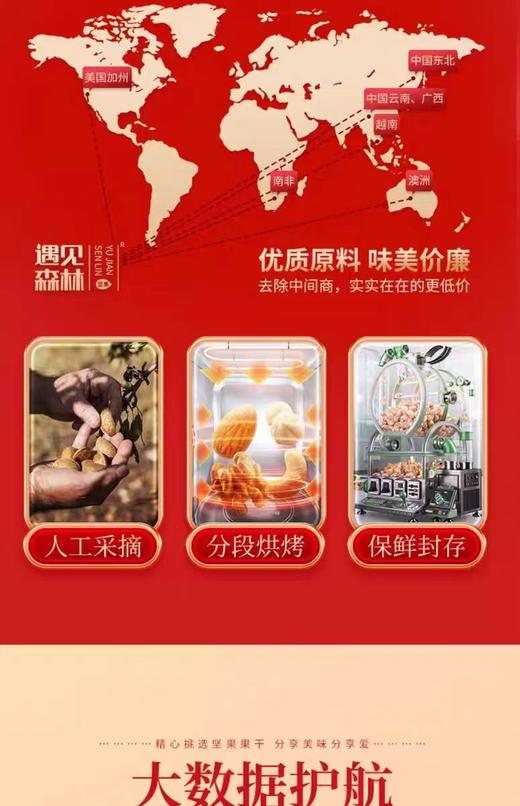 【BC】2025年货节--内部团购10盒起送遇见森林坚果礼盒系列 商品图3
