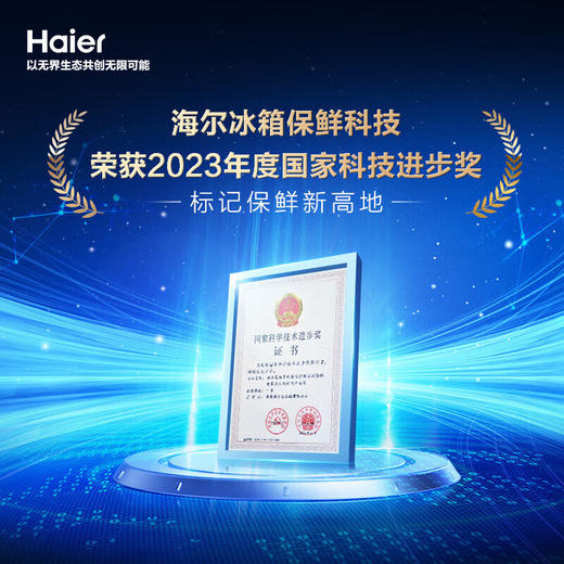 海尔（Haier）太白系列310升风冷无霜黑金净化三档变温抽屉式三开门家用电冰箱一级能效节能变温 商品图2