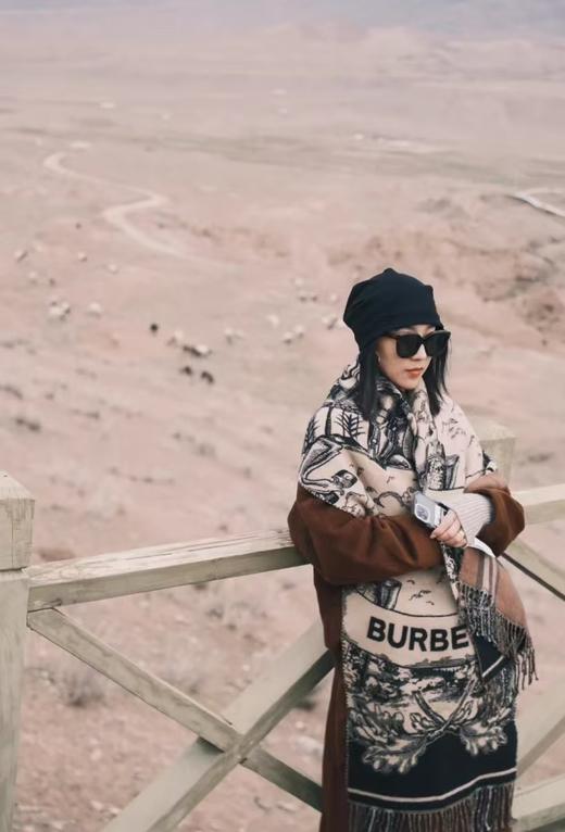 代工厂羊绒羊毛真丝围巾B家双面流苏围巾披肩 商品图10