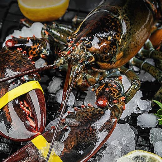 丁小宴海鲜盛宴1598型 4450g【实物/卡券】 商品图3