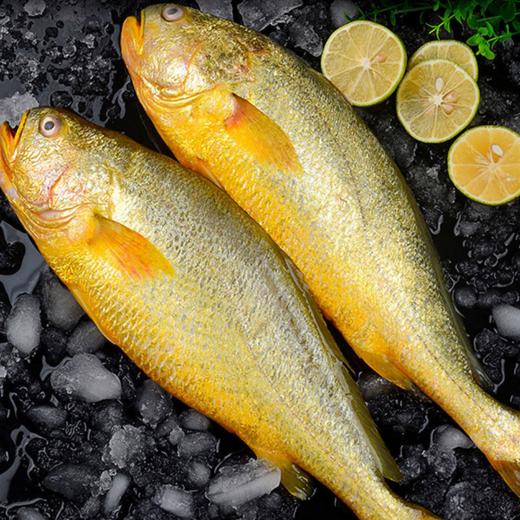 丁小宴海鲜盛宴1098型 3800g【实物/卡券】 商品图6