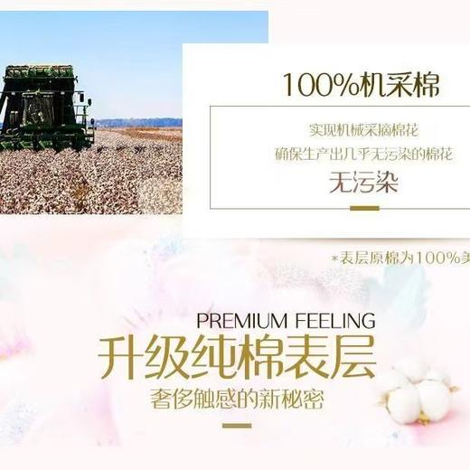 苏菲裸感S卫生巾日用250mm*12片/包 商品图4