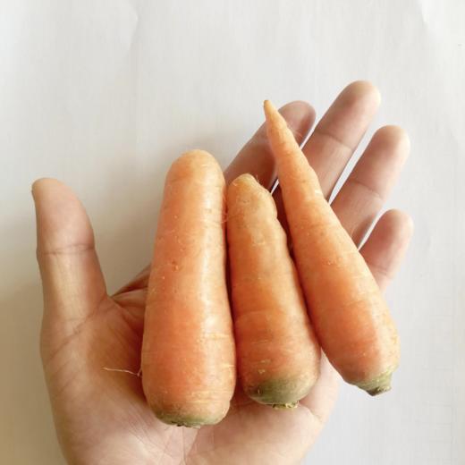 mini水果胡萝卜  
  500g 商品图2