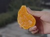 涌泉蜜橘 商品缩略图3