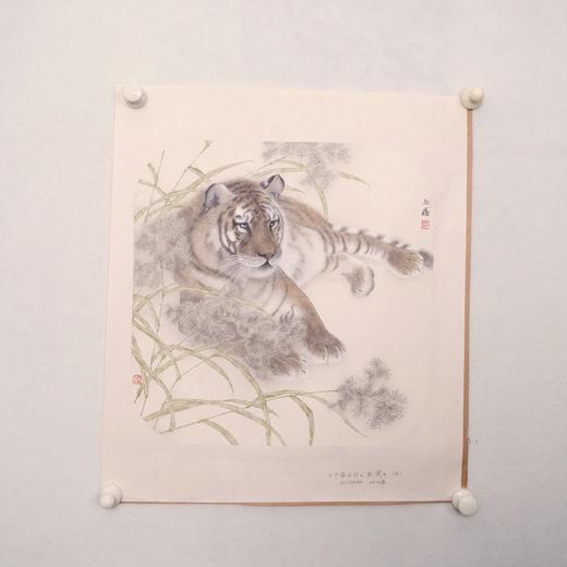 罗玉鑫国画33x33CM《六合之六·亥寅（虎）》一1平尺手绘纸本工笔国画作品[原作编号GH0388] 商品图2