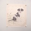 罗玉鑫国画33x33CM《六合之二·戊卯（狗）》一1平尺手绘纸本工笔国画作品[原作编号GH0390] 商品缩略图2