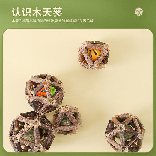 木天蓼虫瘿果实 商品图1