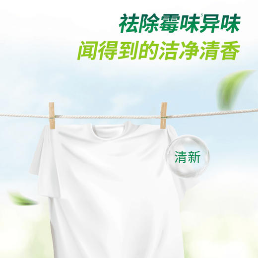 威露士LA有氧洗衣液松木植物萃取 袋装 手洗机洗 500ml 商品图3