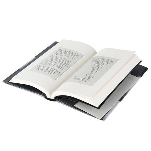 奉献·白日梦 (美) 帕蒂·史密斯 著 商品图4