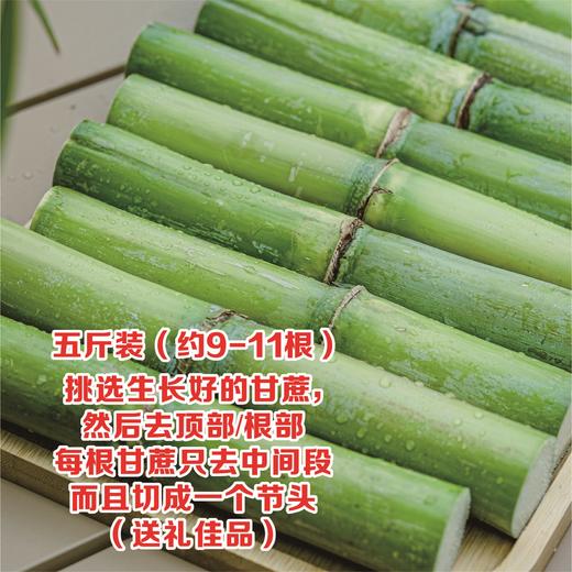 正宗瑞安陶山甘蔗 青皮果蔗 皮薄肉脆 汁水多 净重五斤/箱 现摘先发 顺丰包邮偏远地区不发 商品图10