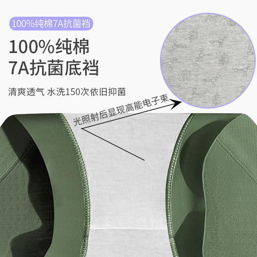 高腰收腹 暖肚肚 性价比拉满樱姿娜秋冬新款 高腰暖腹  磨毛感内裤- 三条礼盒装 WL8123 商品图4
