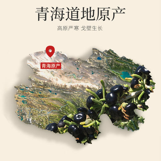 黑枸杞礼遇龙腾系列200g（12罐）300g（18罐）大果黑枸杞礼盒，蓝色、红色包装任选，青海黑枸杞送礼有面高端大气上档次礼盒礼袋礼品年货节新年中秋等团购礼盒送长辈送朋友 商品图10