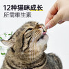 【新人专享】1瓶雷米高猫咪专用多维奶贝维生素片45g 商品缩略图4
