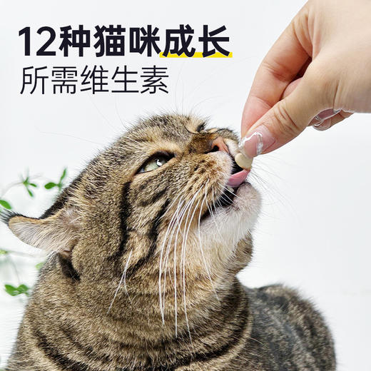 【新人专享】1瓶雷米高猫咪专用多维奶贝维生素片45g 商品图4