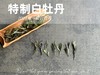 【好茶福利】2024特制白牡丹的香蜜沉沉 ，花蜜似的浓、果浆似的稠、蜜汁似的甜 商品缩略图4