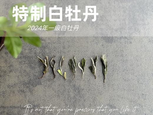 【好茶福利】2024特制白牡丹的香蜜沉沉 ，花蜜似的浓、果浆似的稠、蜜汁似的甜 商品图2