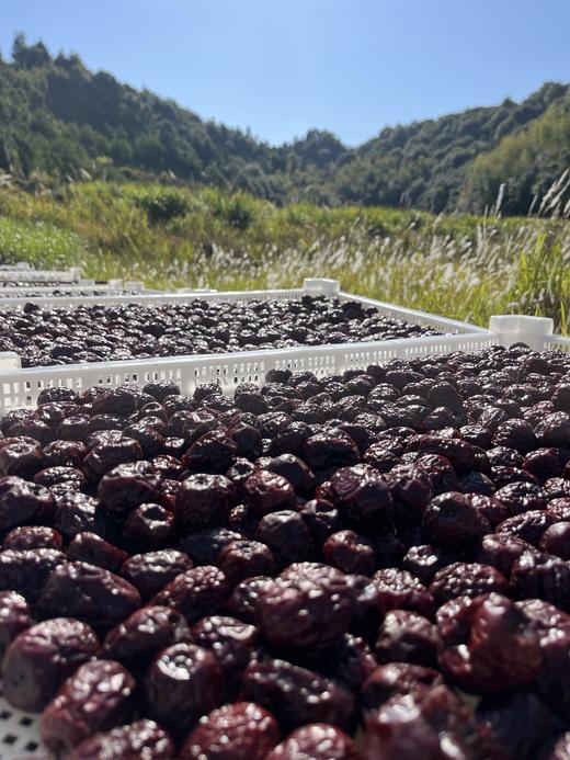三蒸三晒有机枣200克 商品图3