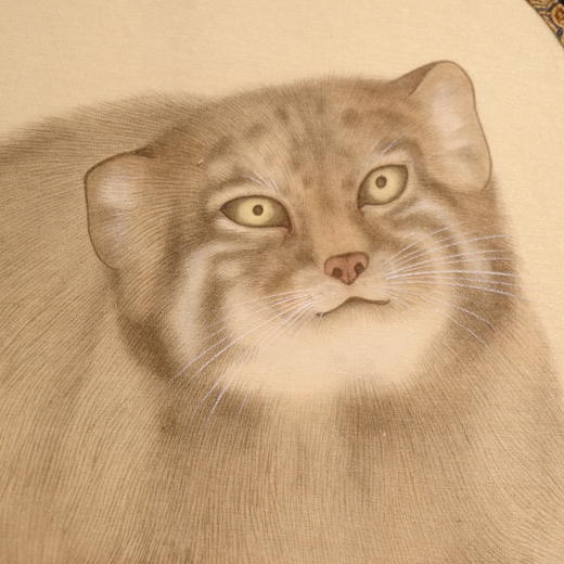 罗玉鑫扇面国画27x27CM《扇面·兔狲（2）》一手绘扇面工笔国画作品[原作编号GH0395] 商品图4