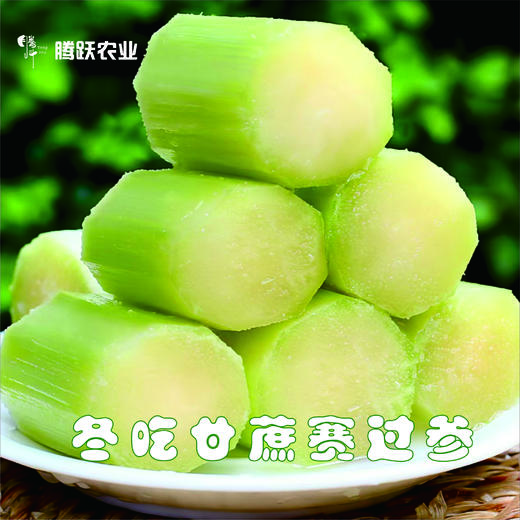 正宗瑞安陶山甘蔗 青皮果蔗 皮薄肉脆 汁水多 净重五斤/箱 现摘先发 顺丰包邮偏远地区不发 商品图5