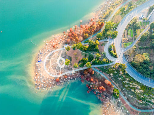 12.22确定出发【湖南】莽山4天摄影采风之旅 商品图5