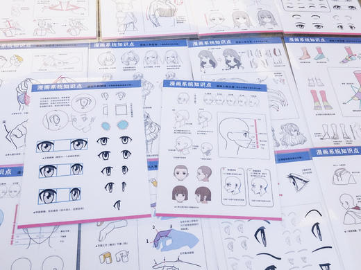 《34张动漫系统知识塑封卡》快递邮寄/塑封/可用于临摹及教室张贴展示宣传 商品图6