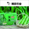 正宗瑞安陶山甘蔗 青皮果蔗 皮薄肉脆 汁水多 净重五斤/箱 现摘先发 顺丰包邮偏远地区不发 商品缩略图0