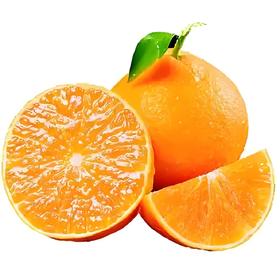 【亚欧超市】爱媛果冻橙 约500g/份