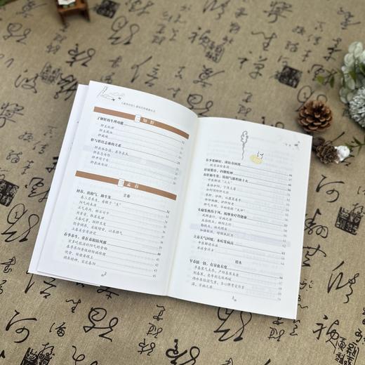 《黄帝内经》漫画四季健康生活（全4册） 商品图8