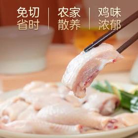 YP 晟世孚众老母鸡套组 500g/袋*10袋（固形物含量≥ 40）