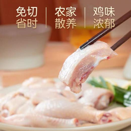 YP 晟世孚众老母鸡套组 500g/袋*10袋（固形物含量≥ 40） 商品图0