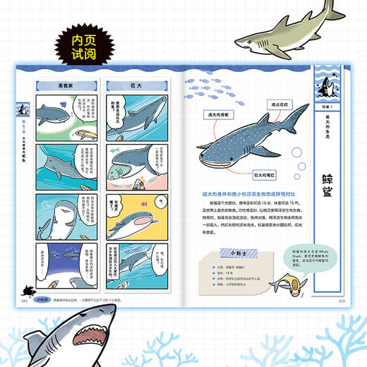 小天角 生物轻图鉴全彩平装3本 鲨鱼危险生物灭绝生物 科普图鉴 科普小达人 商品图4
