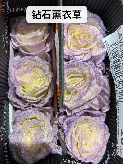 厄瓜多尔进口玫瑰花LAVENDER DIAMOND薰衣草钻石10支 商品图4