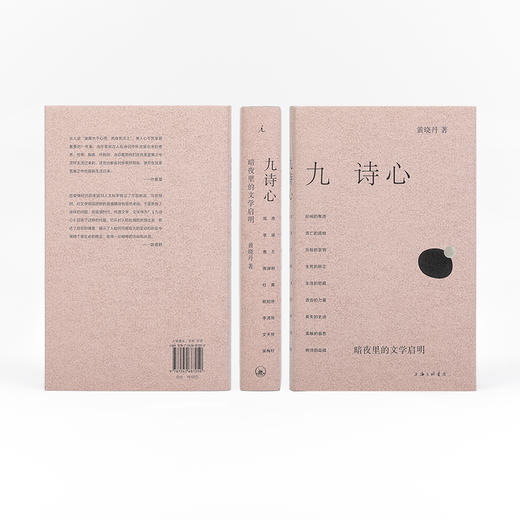 九诗心:暗夜里的文学启明 黄晓丹 著（多规格可选） 商品图2