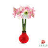 不用浇水的石蜡朱顶红种球！ 粉白花-红蜡 商品缩略图1