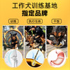 【雷米高】澳宝成犬专用狗粮工作犬训练基地专用狗粮成犬粮 全价成犬粮500g小包装 商品缩略图1