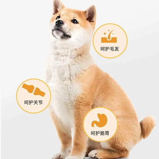 毛大胖宠物火腿肠零食猫狗低盐训练奖励鸡肉味香肠猫犬通用/袋 商品图2