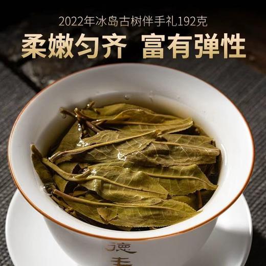 生普 | 德丰昌 2022年 冰岛古树条装 192g/条 送礼佳品 商品图5