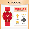 【2025蛇年限定 拍一发五】COACH/蔻驰ELLIOT新年系列中国蛇年限定生肖腕表鸿运蛇表--O7 商品缩略图0