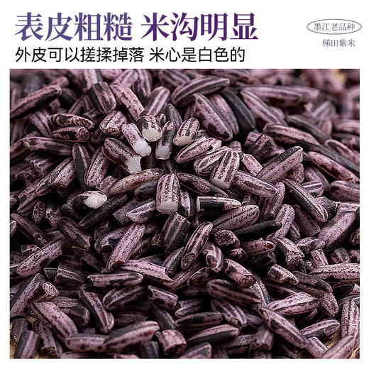 璞匠 墨江梯田紫米紫糯米新米糙米五谷杂粮米甜品紫米面包500g 商品图4