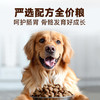 【雷米高】澳宝成犬专用狗粮工作犬训练基地专用狗粮成犬粮 全价成犬粮500g小包装 商品缩略图3
