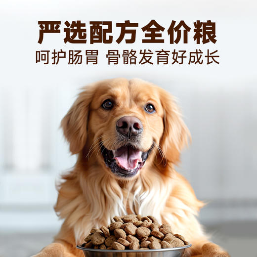 【雷米高】澳宝成犬专用狗粮工作犬训练基地专用狗粮成犬粮 全价成犬粮500g小包装 商品图3