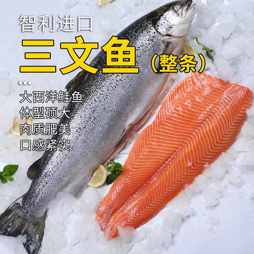 三文鱼整条4.9-5.4kg 原料原产国-智利 商品图0